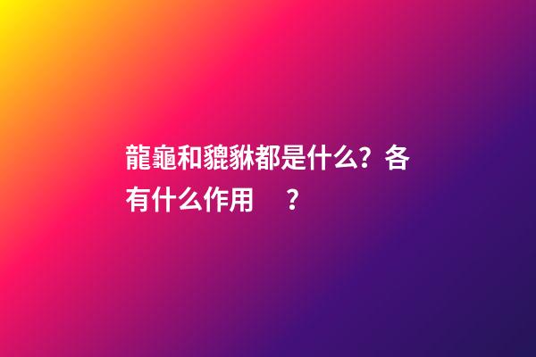 龍龜和貔貅都是什么？各有什么作用？